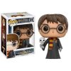 Funko Pop Harry Potter con Hedwig Exclusivo 11915